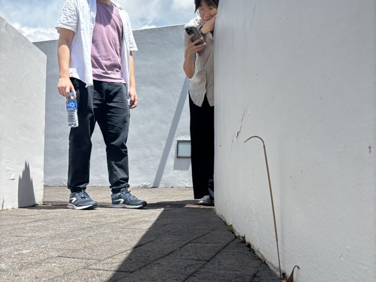 Jossticks on the roof